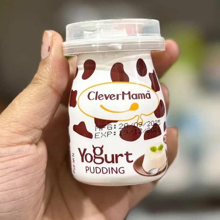 Yogurt Pudding