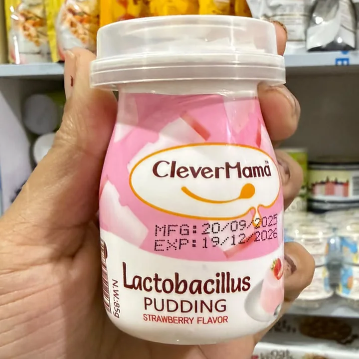Pudding Lactobacillus